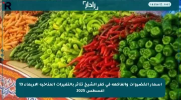 أسعار الخضروات والفاكهة في كفر الشيخ تتأثر بالتغيرات المناخية الأربعاء 13 أغسطس 2025